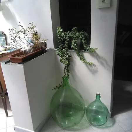 Spacious And Naturally Bright Bomboniera Rooftop Favors * Genova