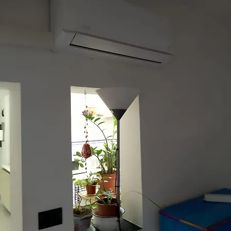 Apartment Spacious And Naturally Bright Bomboniera Rooftop Favors