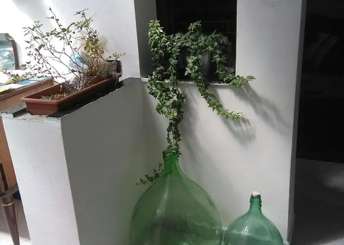Spacious And Naturally Bright Bomboniera Rooftop Favors * ג'נובה
